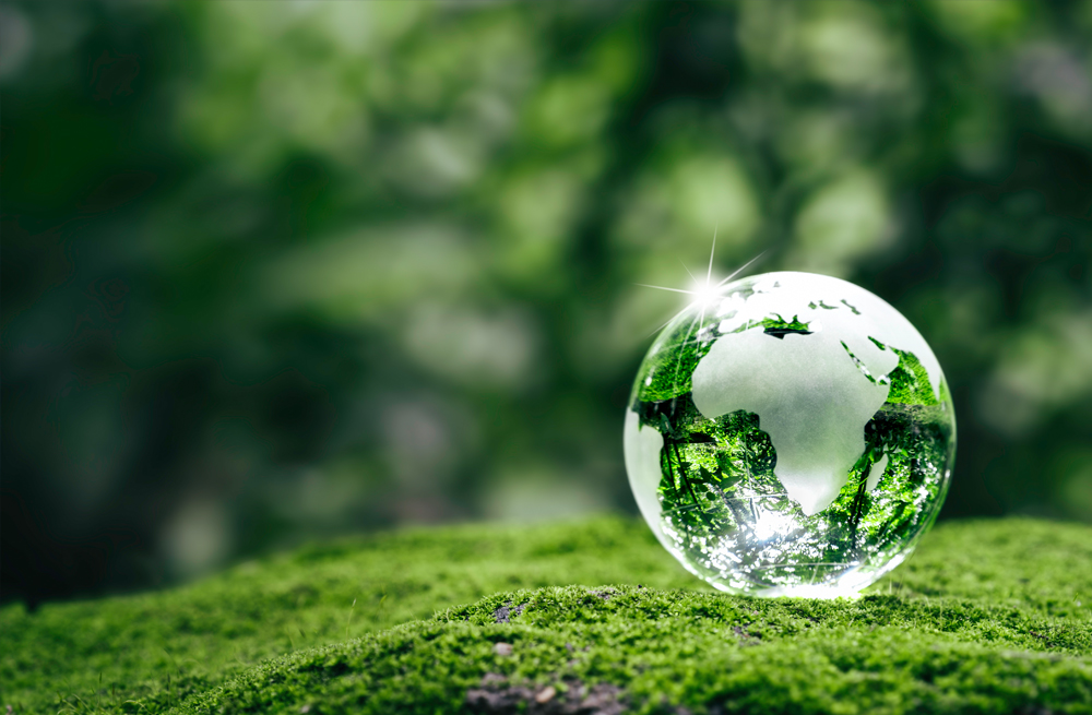 持続可能な社会に向けて新たな含浸剤の開発