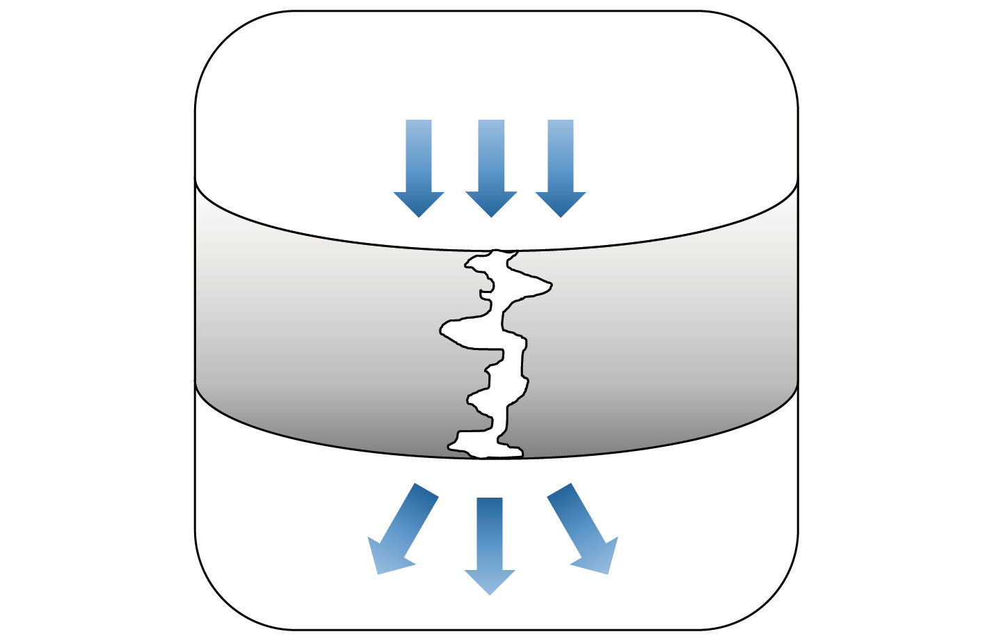 1.典型的な「巣」の状態