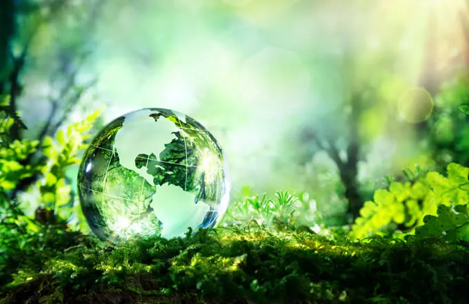 Environment Solution